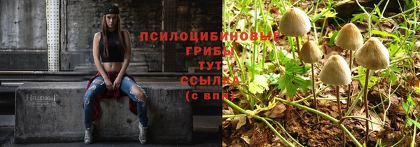 а пвп мука Армянск
