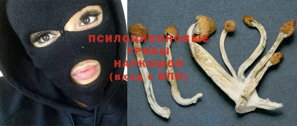 а пвп мука Армянск
