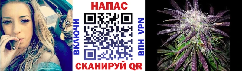 Конопля VHQ  Муравленко 